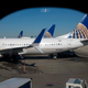 Illustration for article titled After Puppy Dies in Overhead Bin, United Airlines Mistakenly Sends Different Dog to Japan